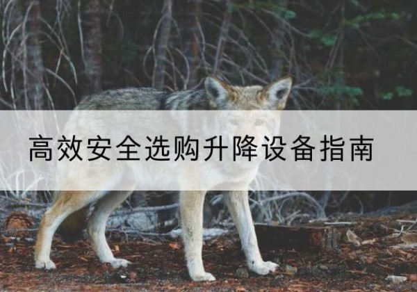 石嘴山升降货梯厂家推荐-*安全选购升降设备指南