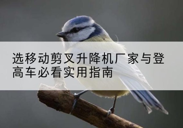 石嘴山电动升降机厂家-选移动剪叉升降机厂家与登高车必看实用指南